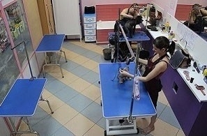 salon6